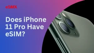 Does iPhone 11 Pro Have eSIM