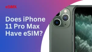 Does iPhone 11 Pro Max Have eSIM
