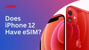 Does iPhone 12 Have eSIM