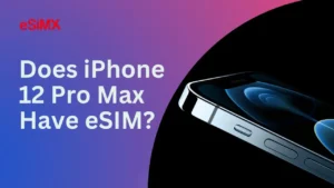 Does iPhone 12 Pro Max Have eSIM