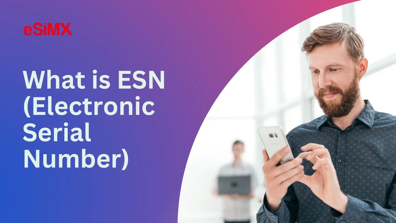 What is ESN (Electronic Serial Number)