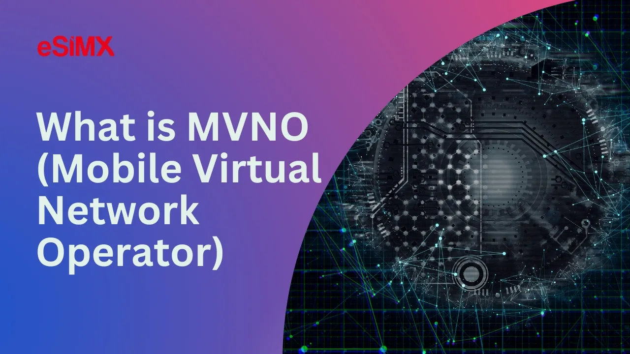 What is MVNO (Mobile Virtual Network Operator)